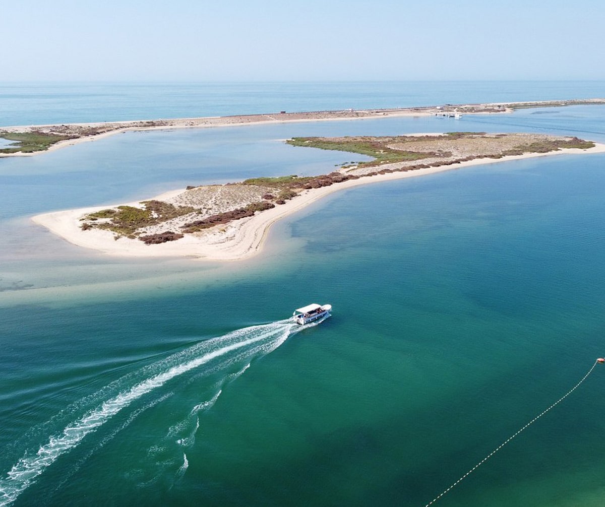 passeios ria formosa